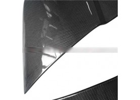 Audi R8 Carbon Fiber Quarter Panel Side Covers Body Kit