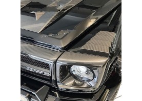 body kits for Mercedes-Benz G-class W463 head lamp cover with LED 