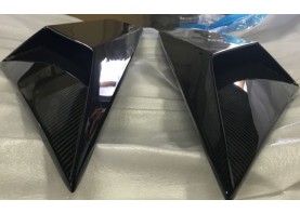 Lamborghini Aventador LP700 Carbon Fiber Quarter Panel Wings